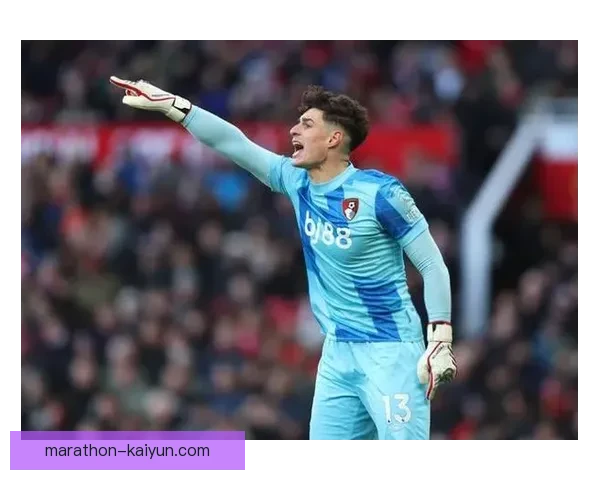 伯恩茅斯战术灵活，近期表现稳健，球队竞争力增强